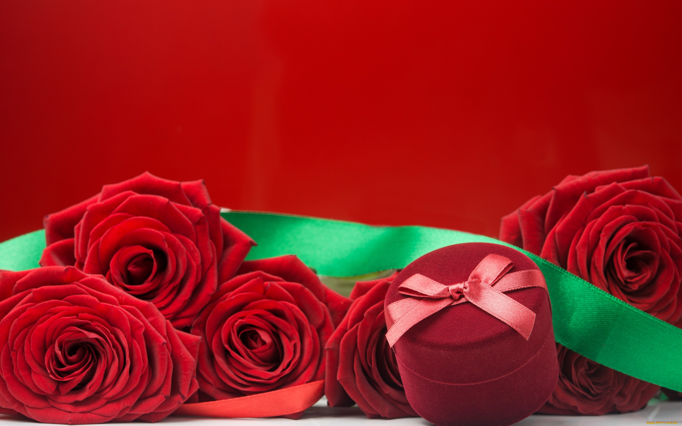 , , , , , roses, red, romantic, flowers